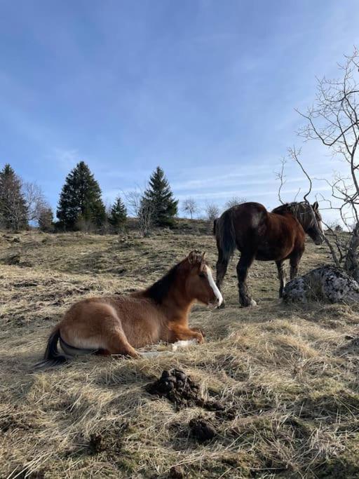 Chic & Champetre Au Coeur Du Haut-Jura Lamoura Luaran gambar